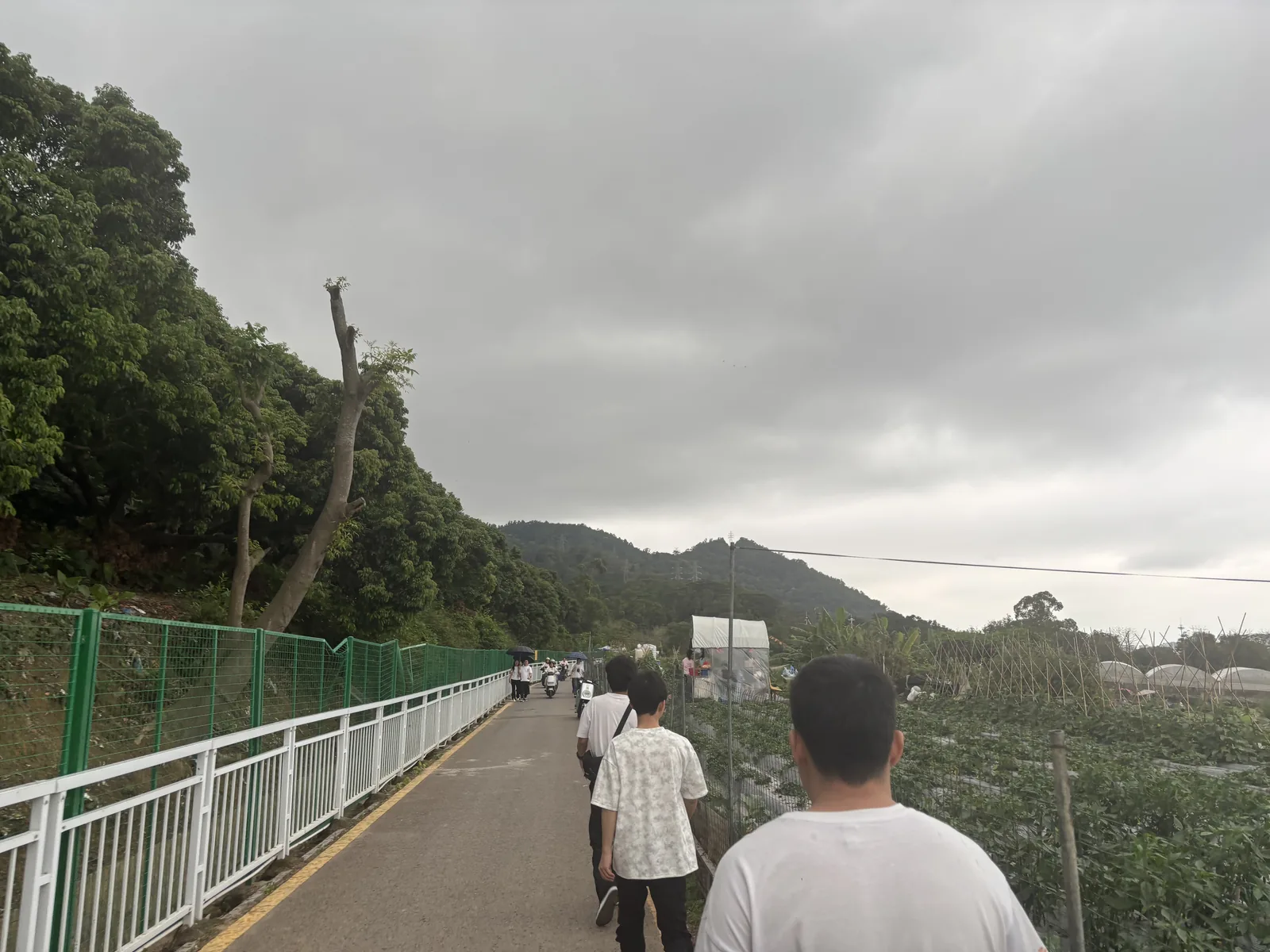 凤凰山-05