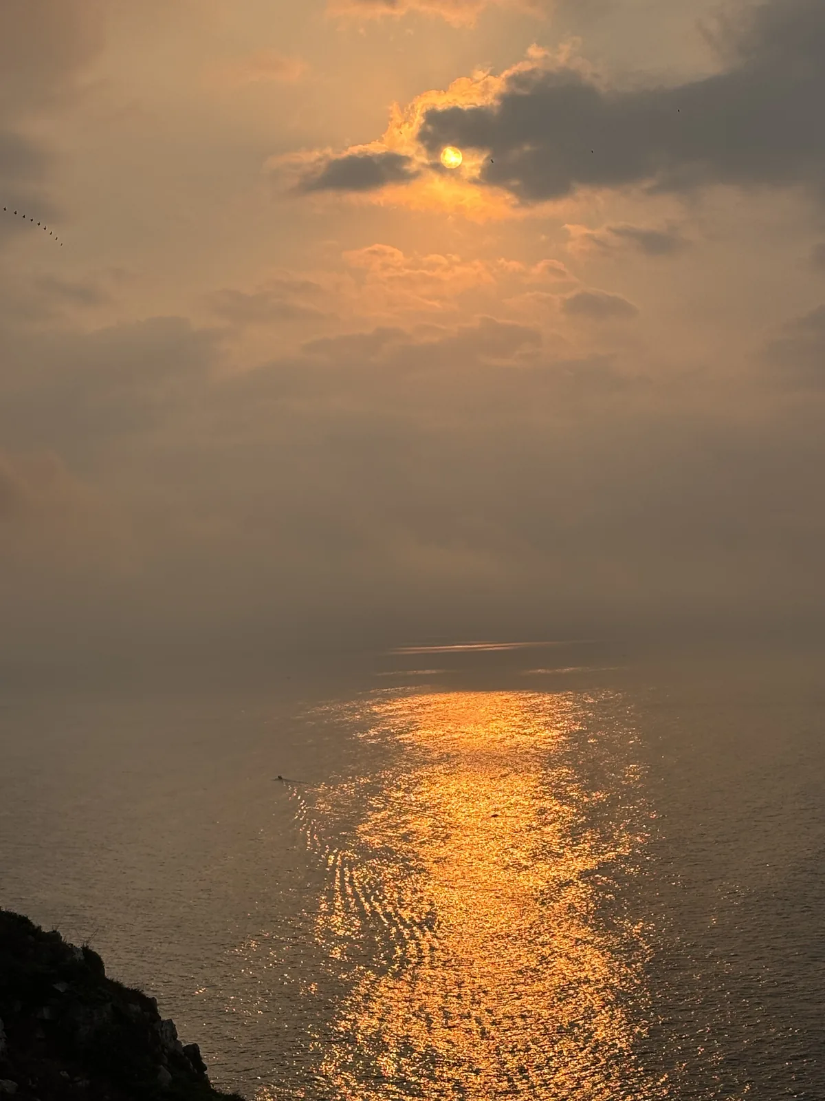 金色海面细节